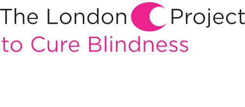 The London Project Logo